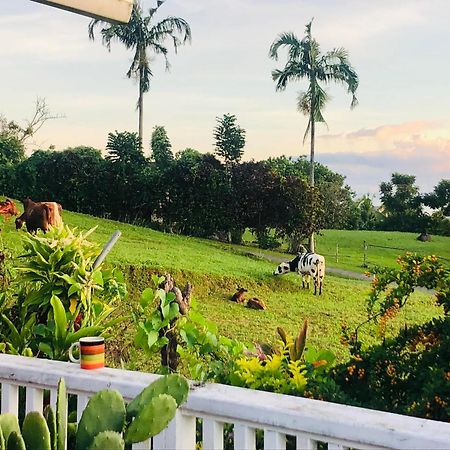 Apaula Heights Lounge Bed and Breakfast Apia Buitenkant foto