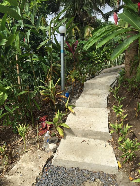 Apaula Heights Lounge Bed and Breakfast Apia Kamer foto